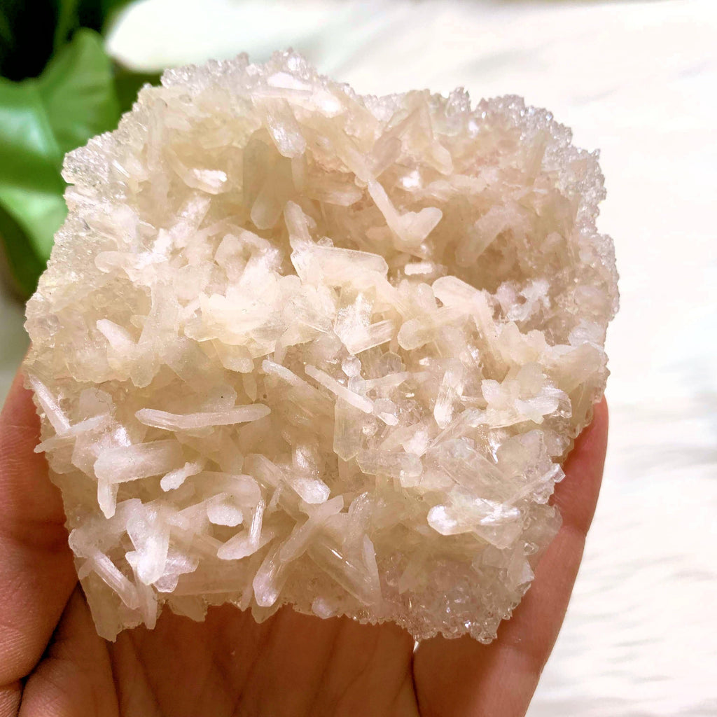 NEW FIND! Large Druzy Apophyllite Baby Points With Stilbite Underside From India #5 - Earth Family Crystals