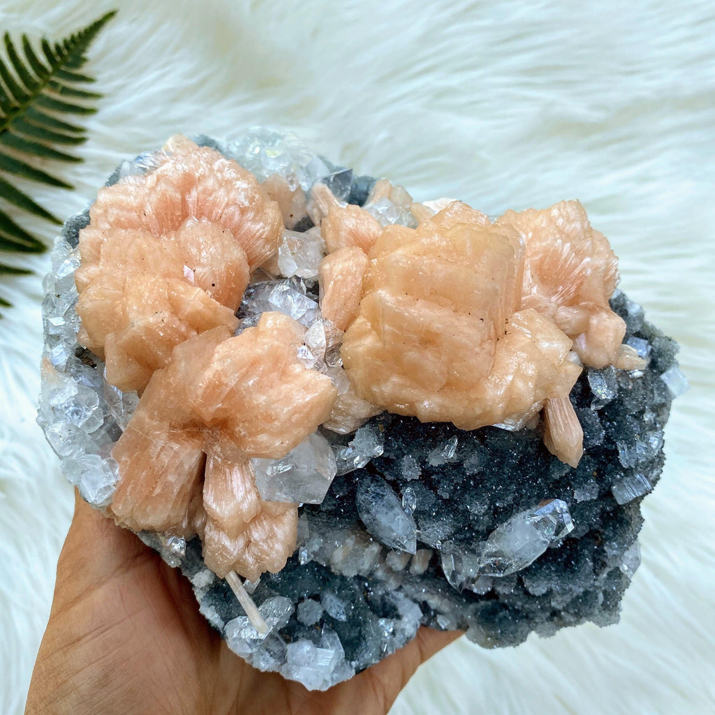 Breathtaking XL 1.6kg Pink Stilbite, Clear Apophyllite & Chalcedony Display Cluster Locality India - Earth Family Crystals