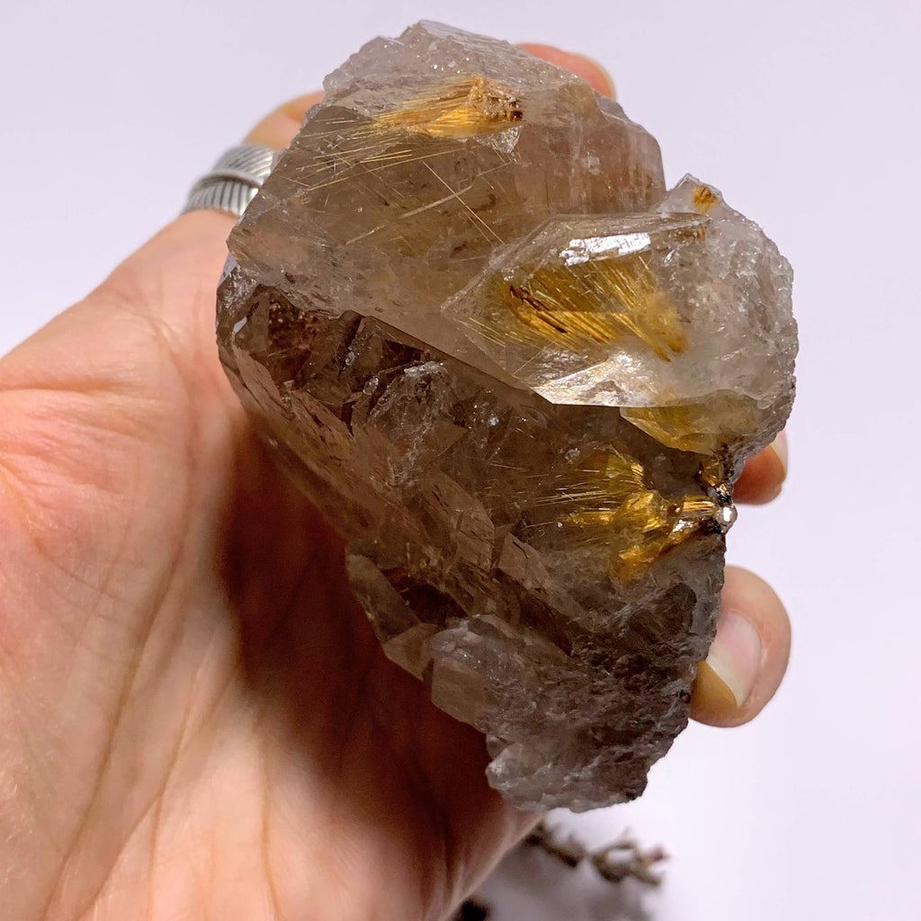 Incredible Golden Rutilated Elestial Smoky Quartz Large Cluster ~Locality  Brazil - Earth Family Crystals