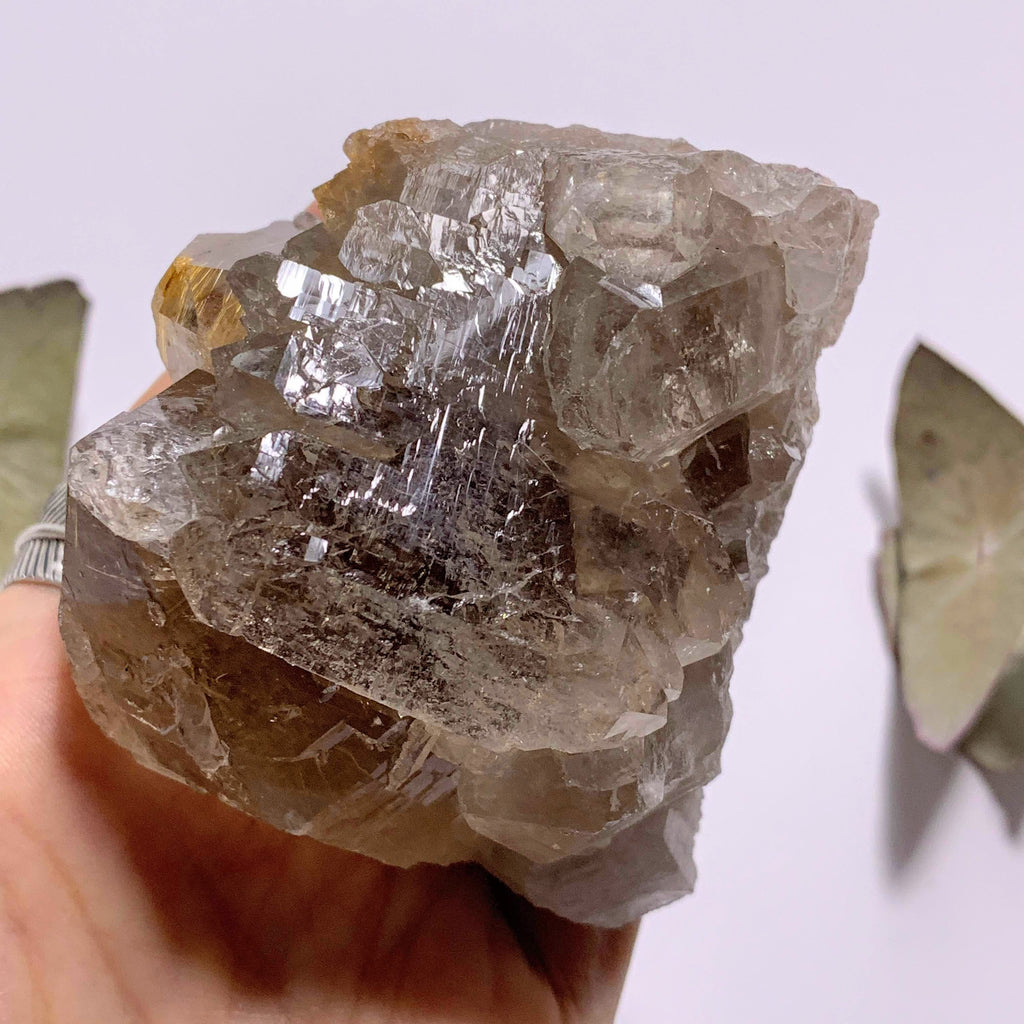 Incredible Golden Rutilated Elestial Smoky Quartz Large Cluster ~Locality  Brazil - Earth Family Crystals