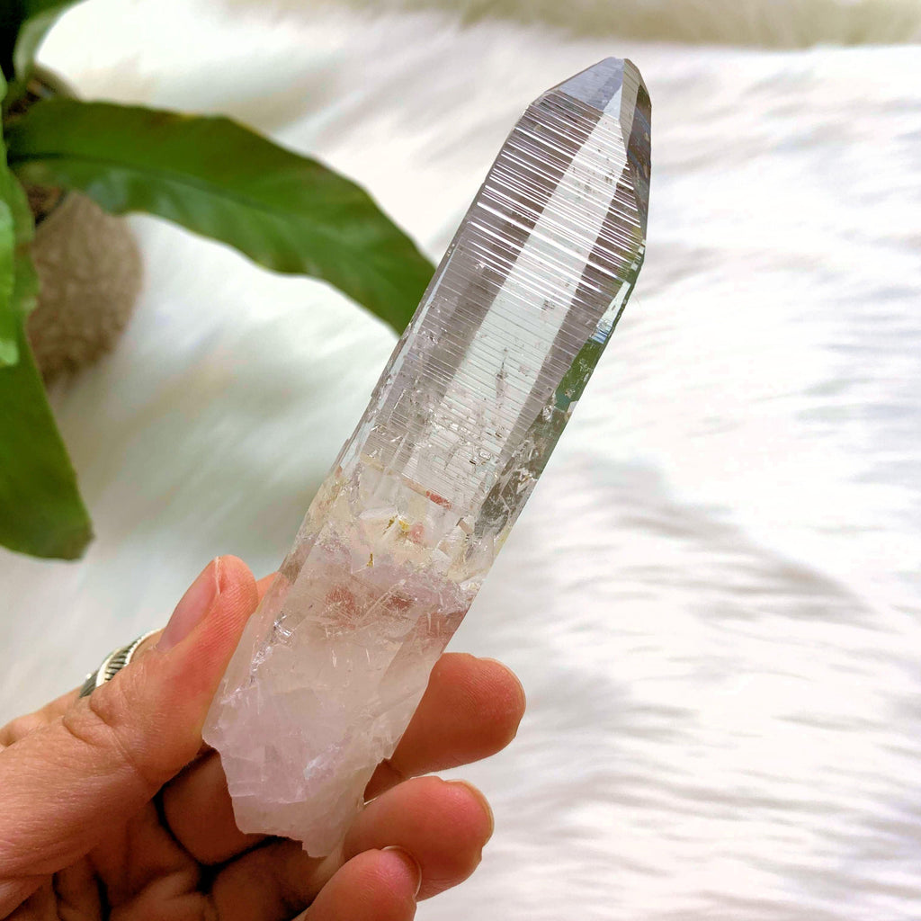 Fabulous Striations Colombian Lemurian Quartz Point #2 - Earth Family Crystals