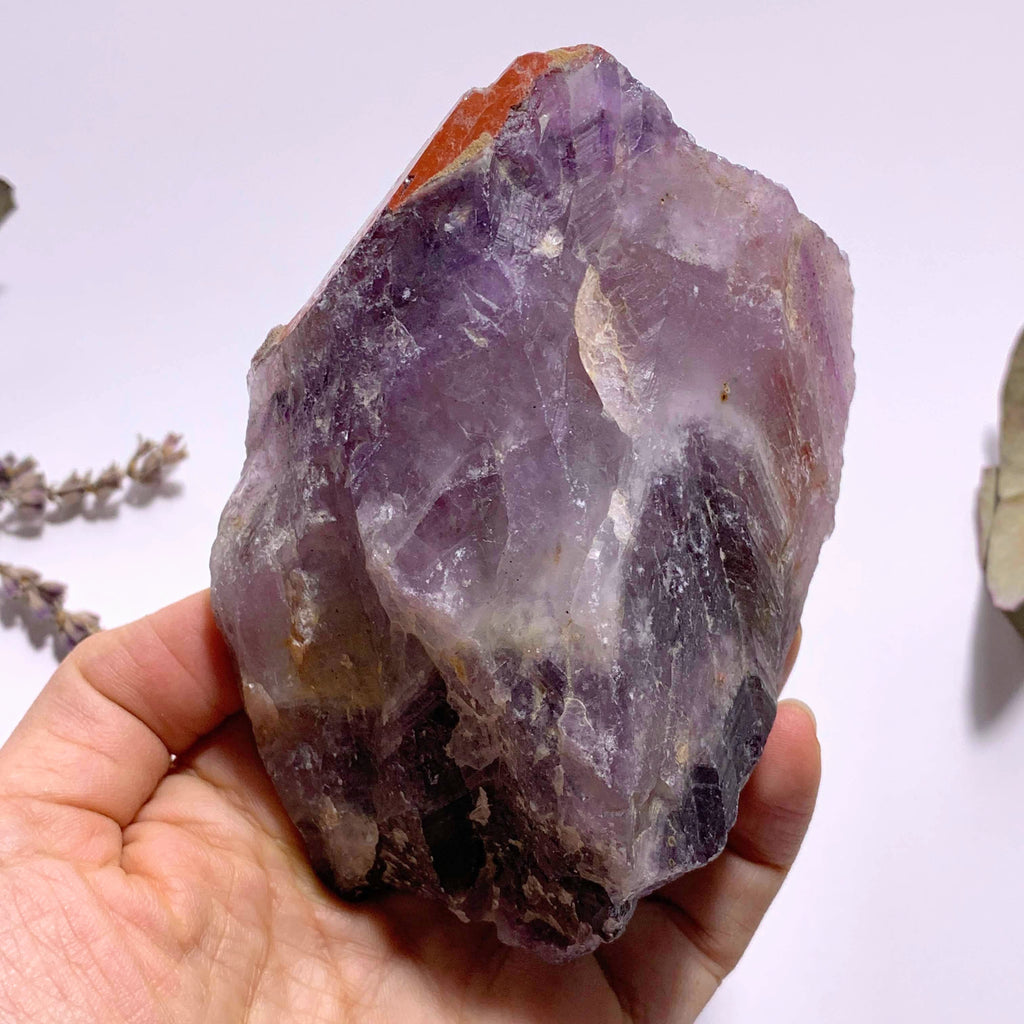 Genuine Auralite-23 Red Hematite & Record Keeper Capped Large Point From Ontario, Canada - Earth Family Crystals
