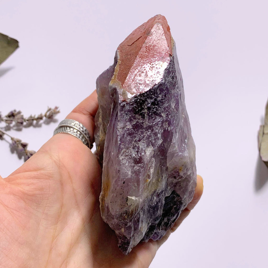Genuine Auralite-23 Red Hematite & Record Keeper Capped Large Point From Ontario, Canada - Earth Family Crystals
