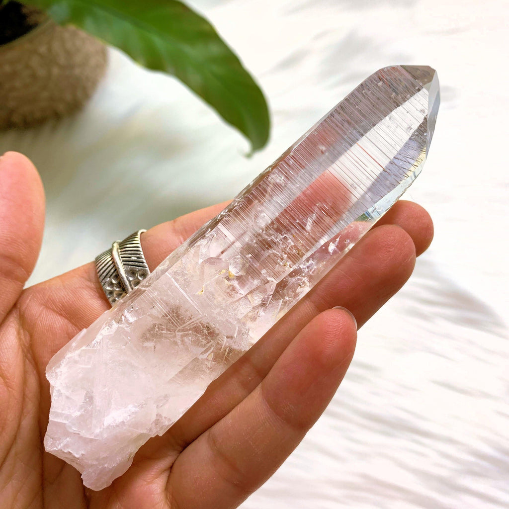 Fabulous Striations Colombian Lemurian Quartz Point #2 - Earth Family Crystals