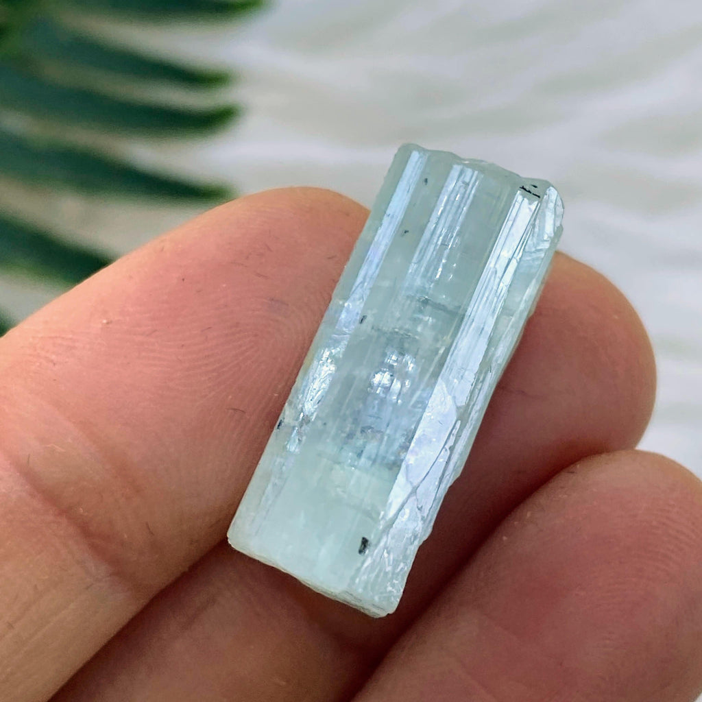 28.5ct Natural Aquamarine Specimen  in Collectors box #2 - Earth Family Crystals
