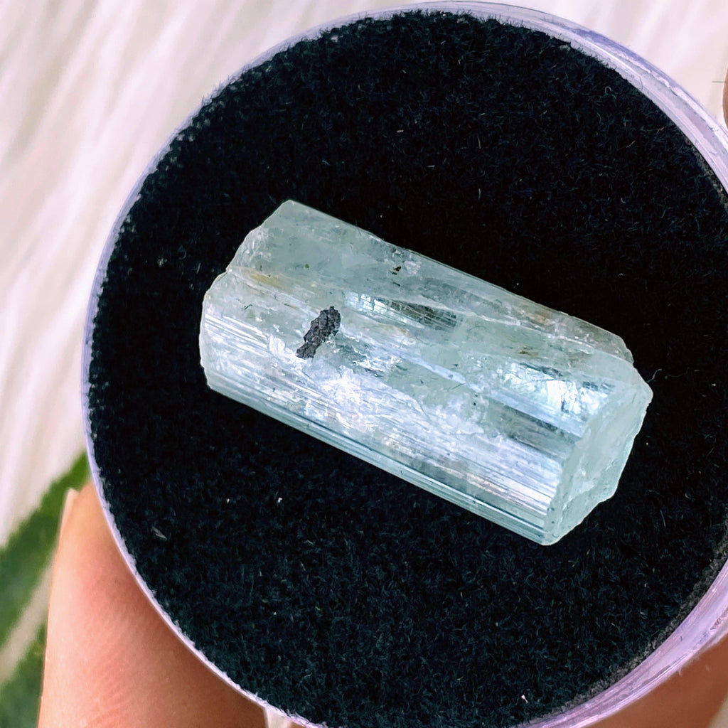 28.5ct Natural Aquamarine Specimen  in Collectors box #2 - Earth Family Crystals