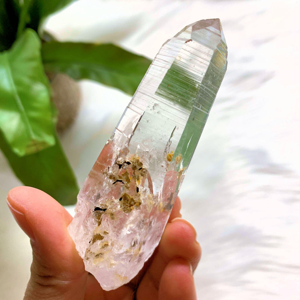 Gorgeous Clarity Colombian Lemurian Quartz Point  #5 - Earth Family Crystals