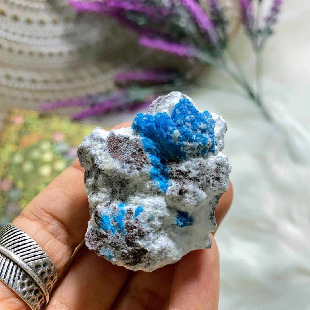 Vibrant Electric Blue Natural Cavansite Nestled in White Mordenite Matrix From India - Earth Family Crystals