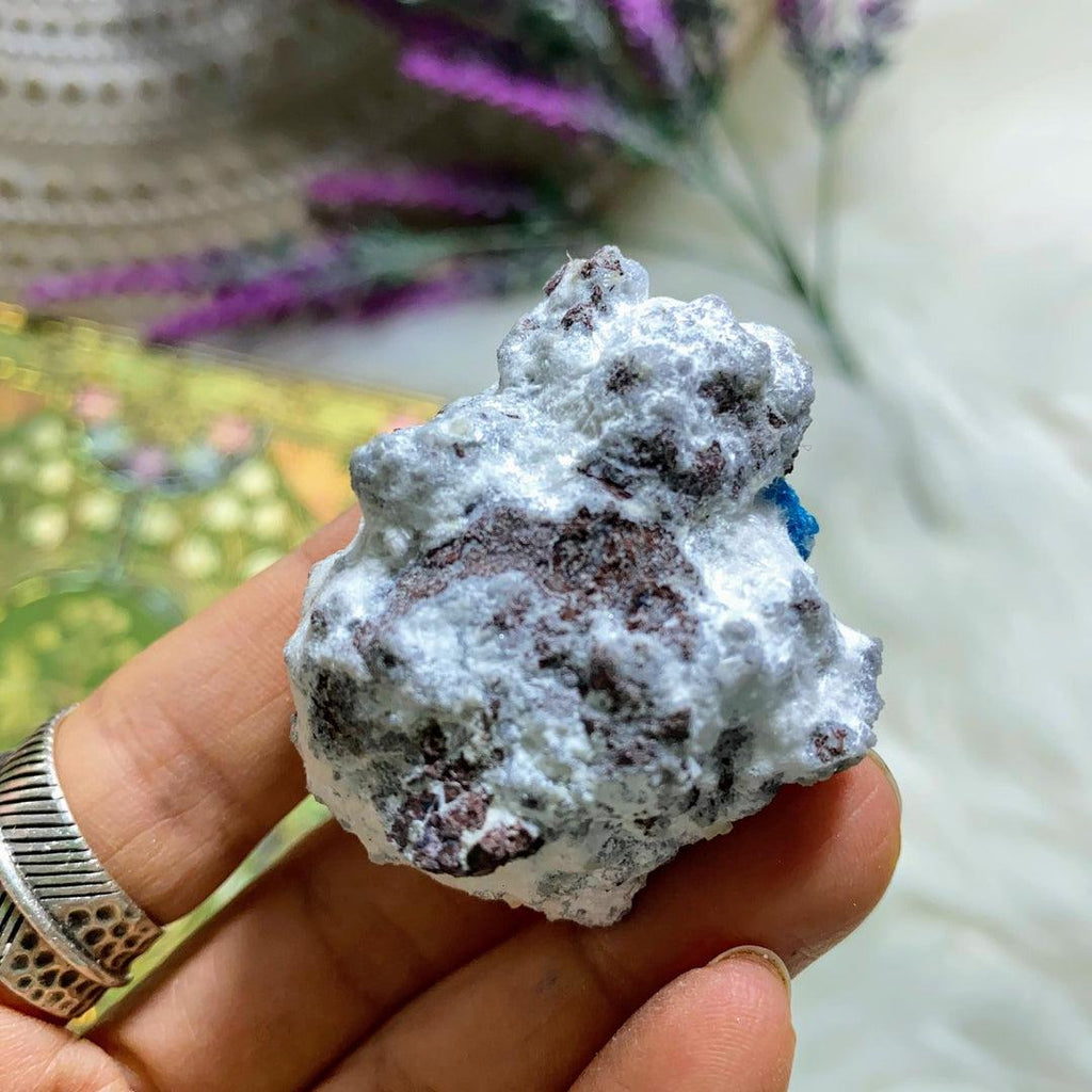 Vibrant Electric Blue Natural Cavansite Nestled in White Mordenite Matrix From India - Earth Family Crystals