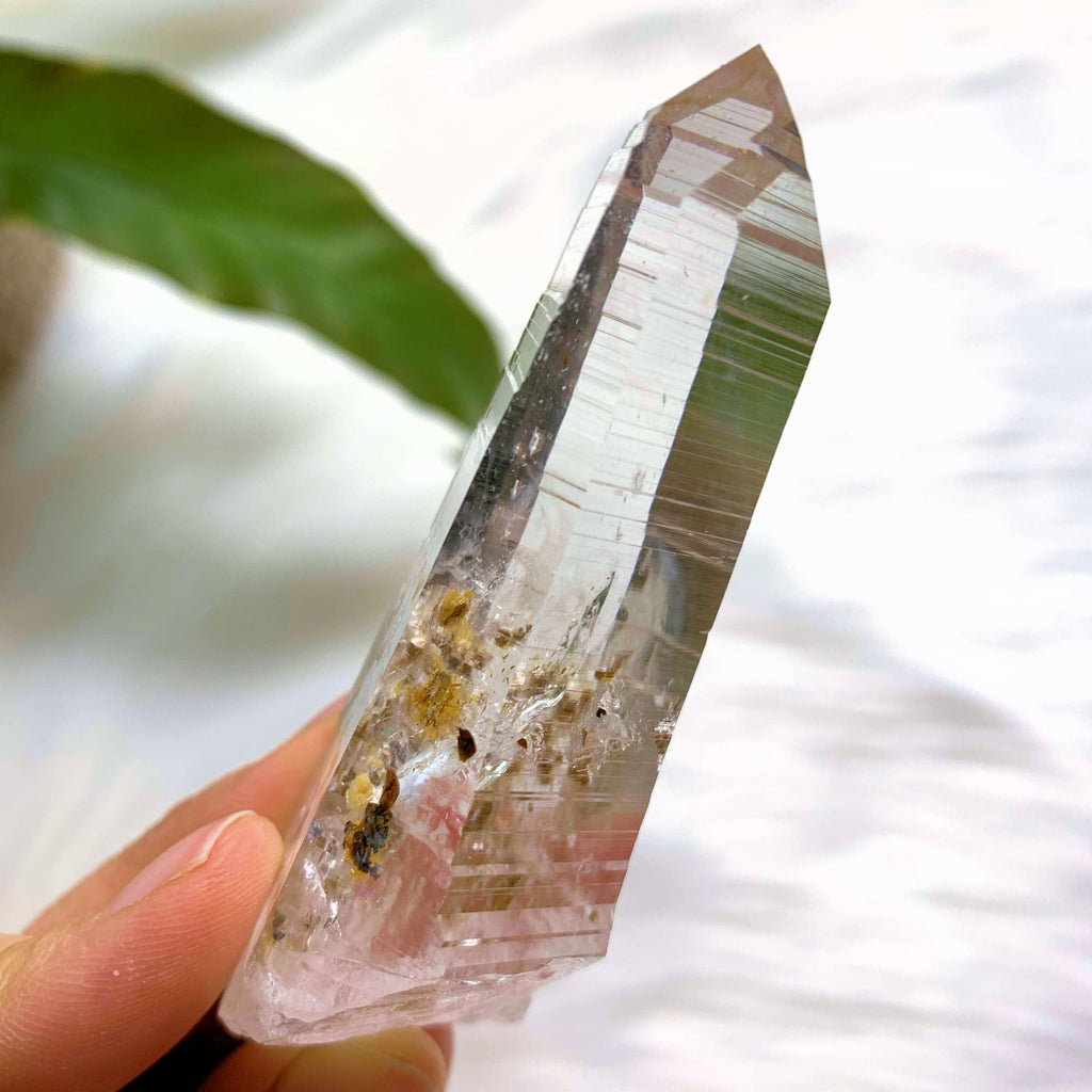 Gorgeous Clarity Colombian Lemurian Quartz Point  #5 - Earth Family Crystals