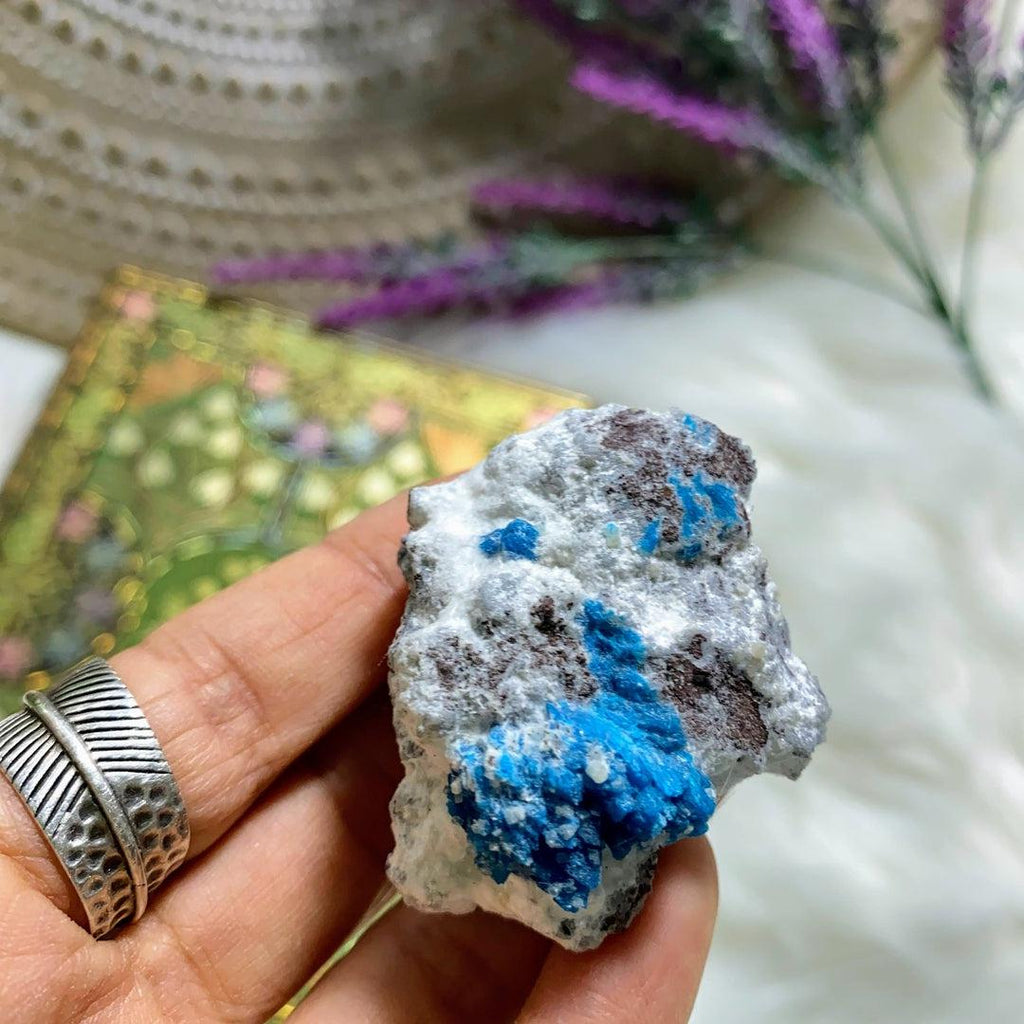 Vibrant Electric Blue Natural Cavansite Nestled in White Mordenite Matrix From India - Earth Family Crystals