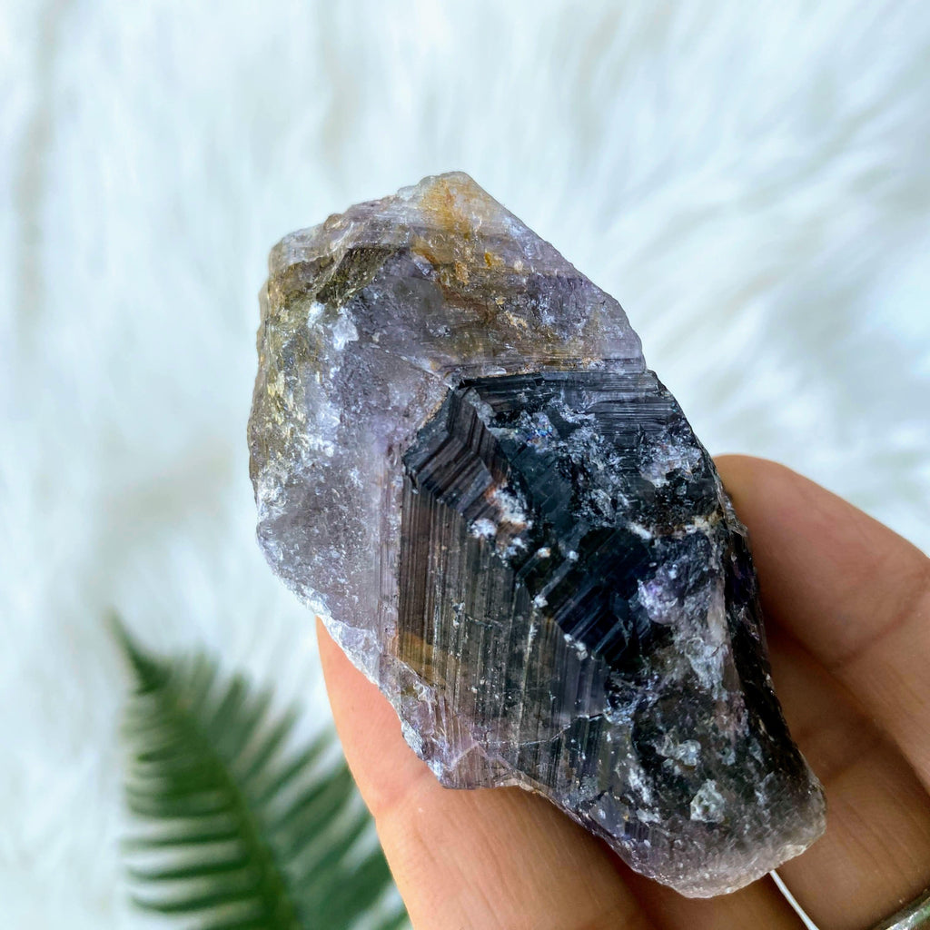 Genuine Auralite-23 Crystal Specimen ~ Locality: Ontario, Canada - Earth Family Crystals