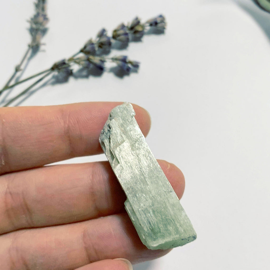 Hiddenite (Green Kunzite) Small Handheld Crystal from Minas Gerais, Brazil #1 - Earth Family Crystals