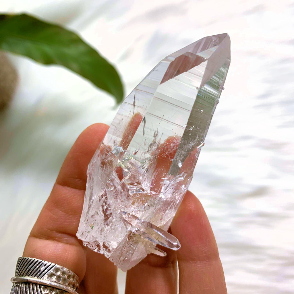 Gorgeous Clarity & Baby Points Colombian Lemurian Quartz Point  #6 - Earth Family Crystals