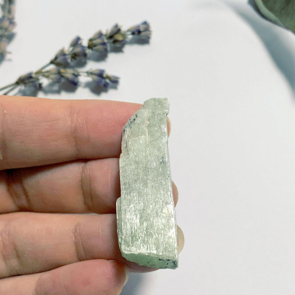 Hiddenite (Green Kunzite) Small Handheld Crystal from Minas Gerais, Brazil #1 - Earth Family Crystals