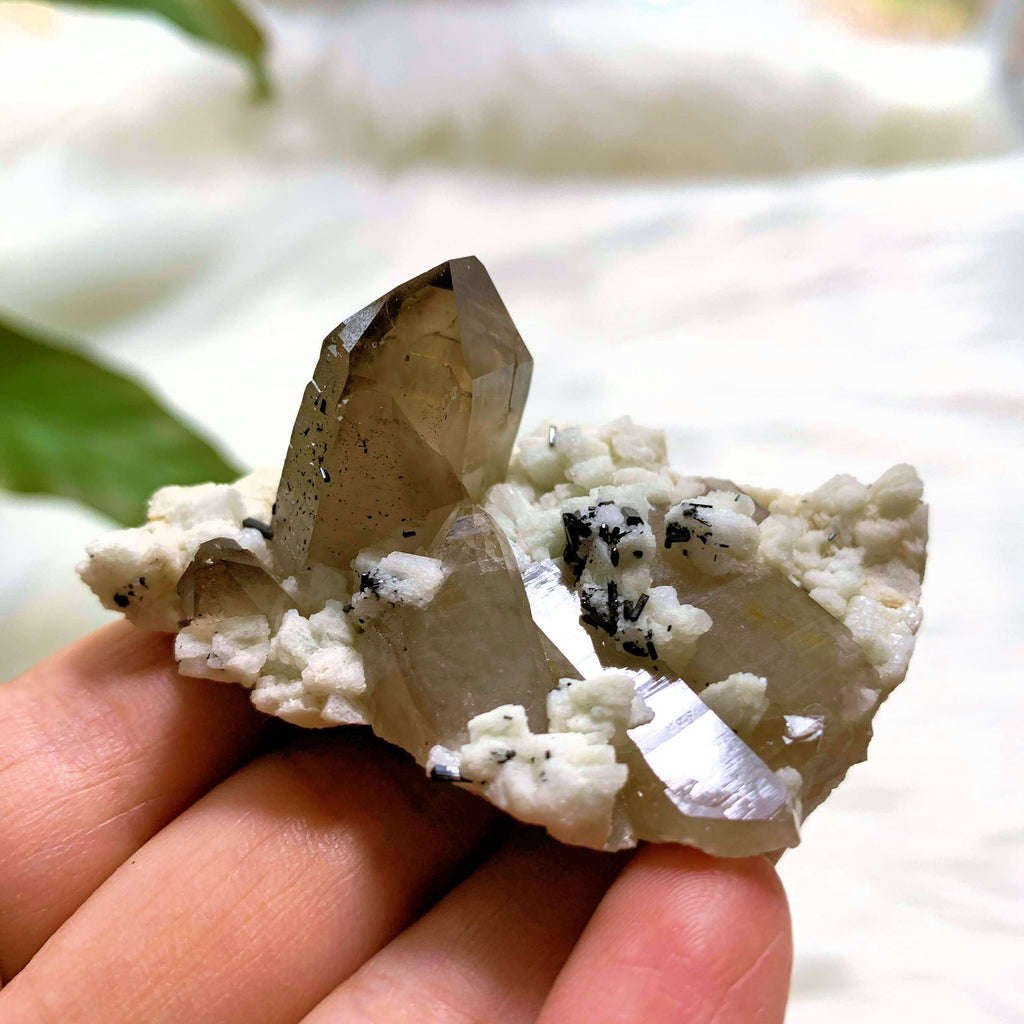 Rare Locality~ Smoky Quartz With Black Tourmaline & Albite Matrix From Argentina - Earth Family Crystals