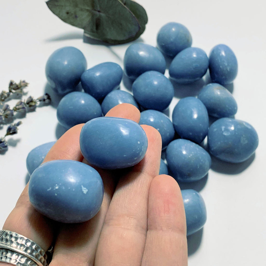 Set of 2~Creamy Blue Angelite Tumbled Stone From Peru - Earth Family Crystals