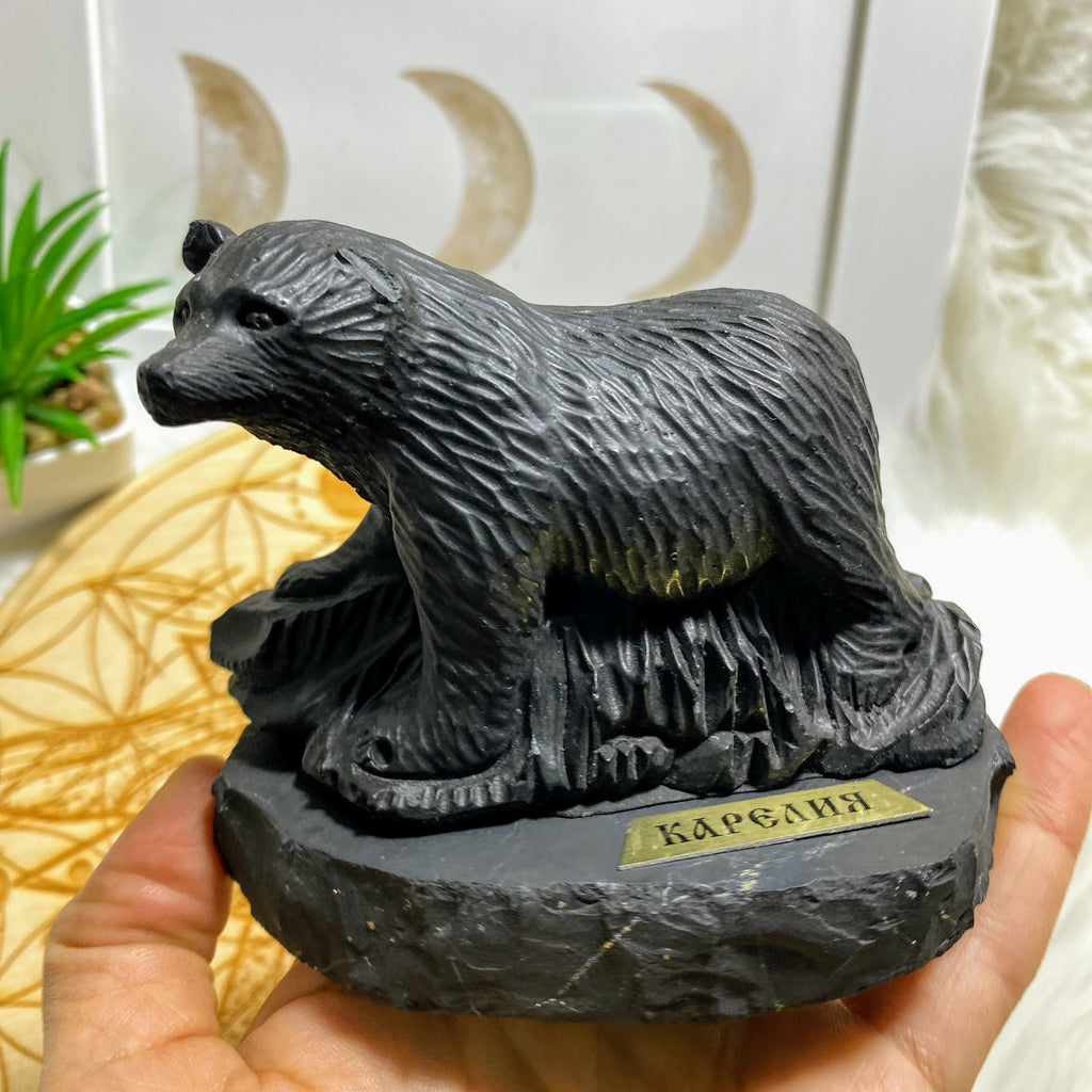 Reserved for Sandy EMF Protection! Large Shungite Bear  Display Specimen (REDUCED) - Earth Family Crystals