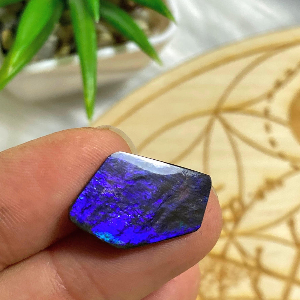 Rare Midnight Purple Flashes Alberta Ammolite Cabochon Ideal for Crafting - Earth Family Crystals