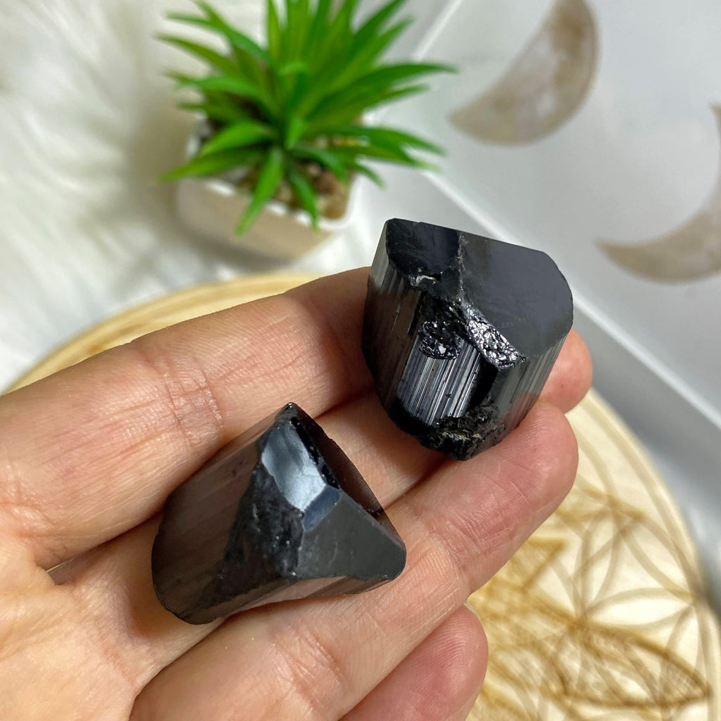 Set of 2 Natural Black Tourmaline Points ~Perfect for the Pocket! - Earth Family Crystals