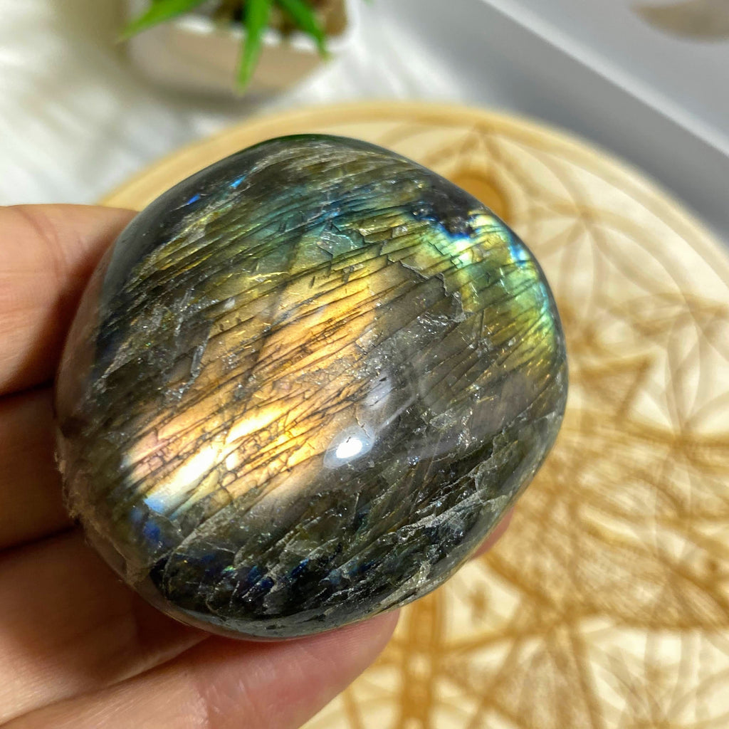Rare Pink Flashes! Labradorite Partially Polished Specimen - Earth Family Crystals