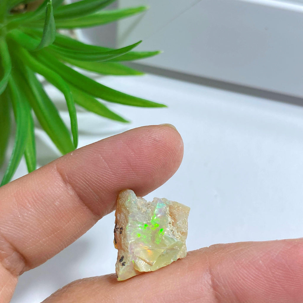 Beautiful Flashy  Raw Ethiopian Opal Collectors Specimen #1 - Earth Family Crystals