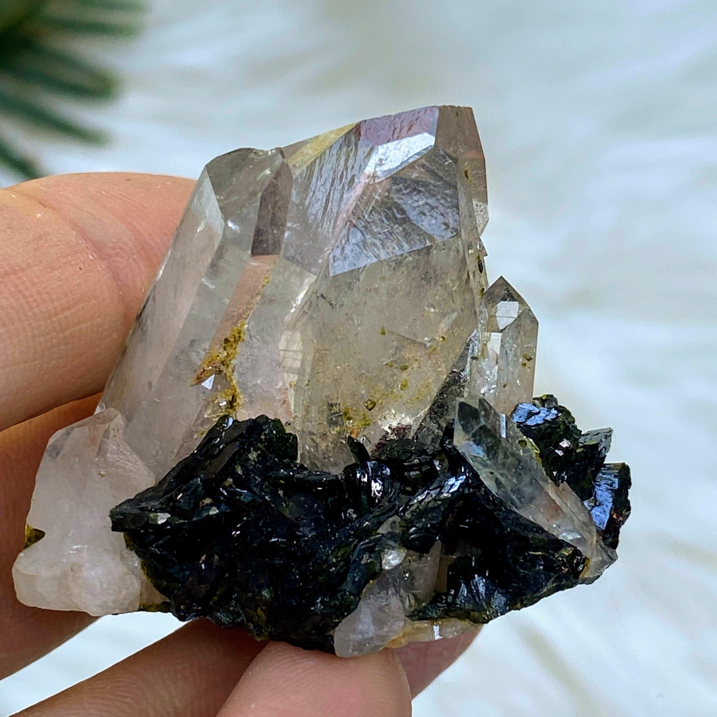Gemmy Forest Green Epidote & Clear Quartz Natural Cluster - Earth Family Crystals