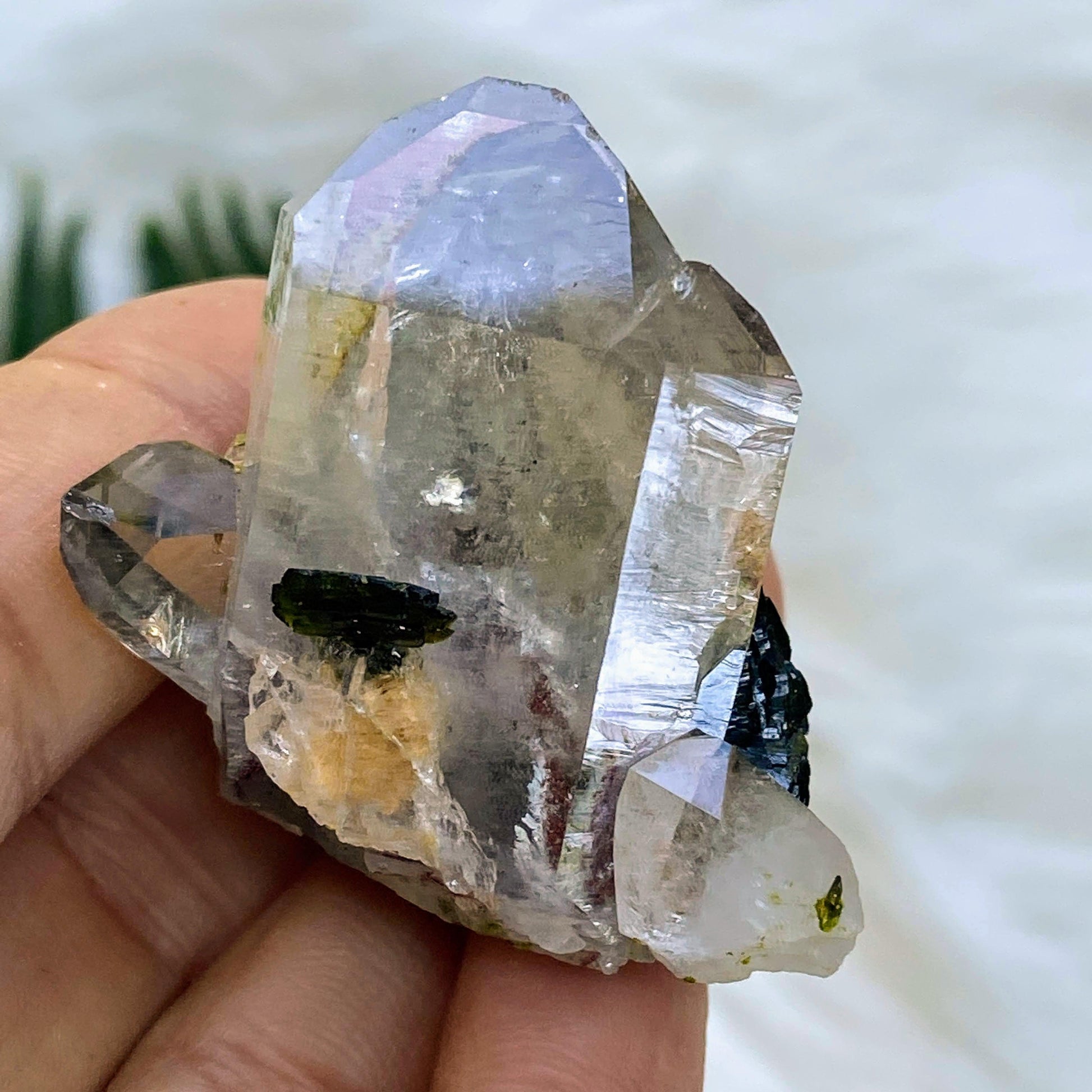 Gemmy Forest Green Epidote & Clear Quartz Natural Cluster - Earth Family Crystals