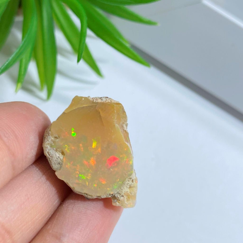 Extreme Flash Raw  Ethiopian Opal Collectors Specimen #4 - Earth Family Crystals