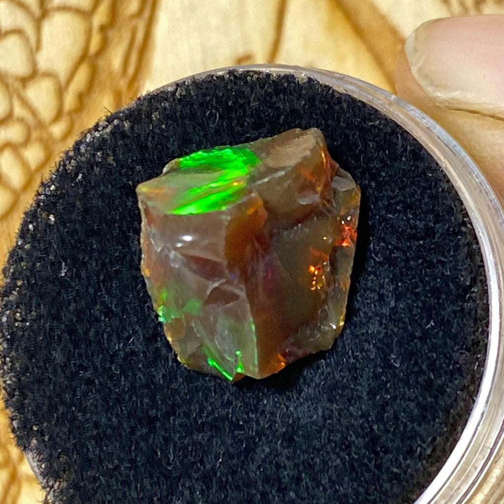 5.5 CT Rough Flashy Brown Ethiopian Opal in Collectors Box - Earth Family Crystals