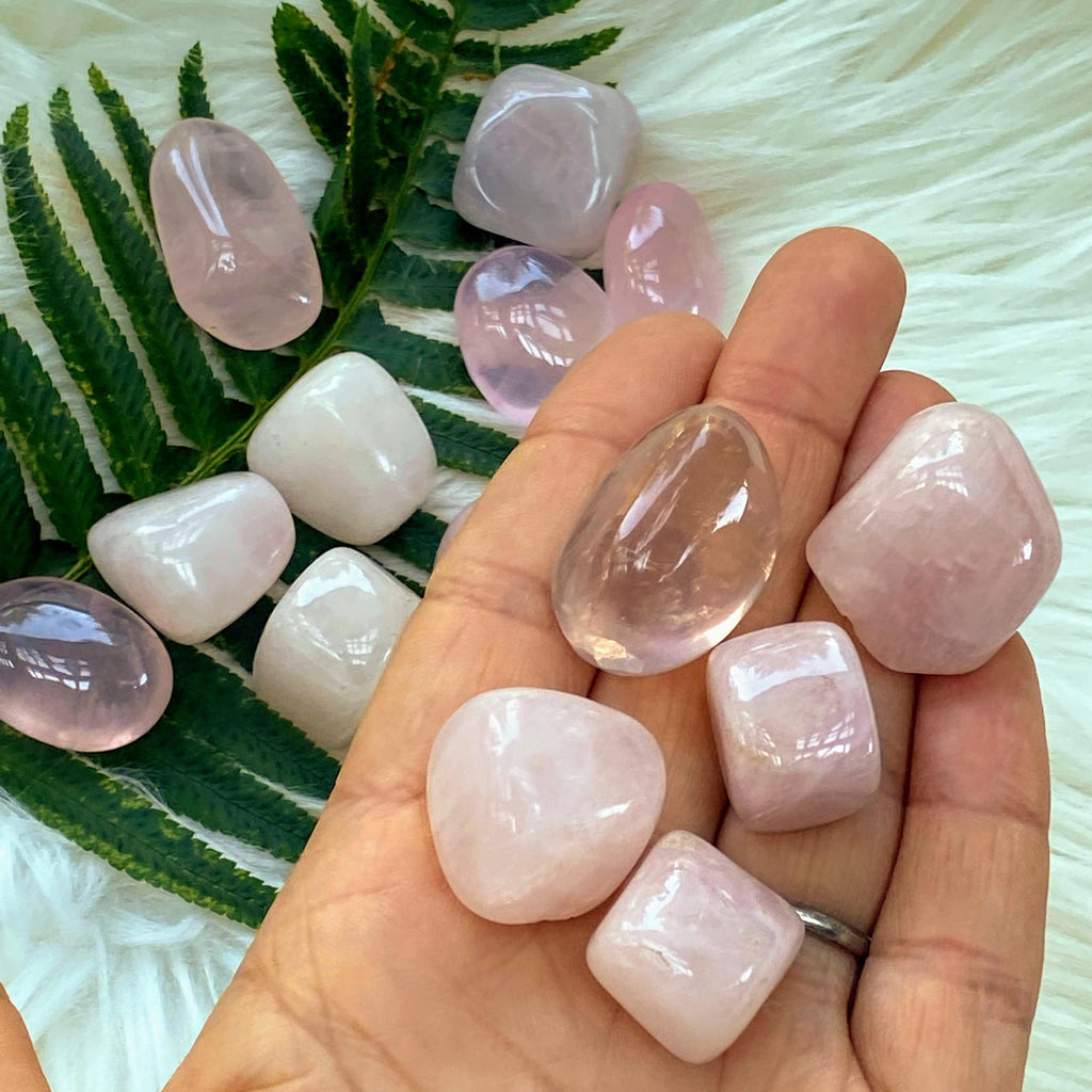 Set of 5 Sweet Pink Rose Quartz Tumbled Stones - Earth Family Crystals