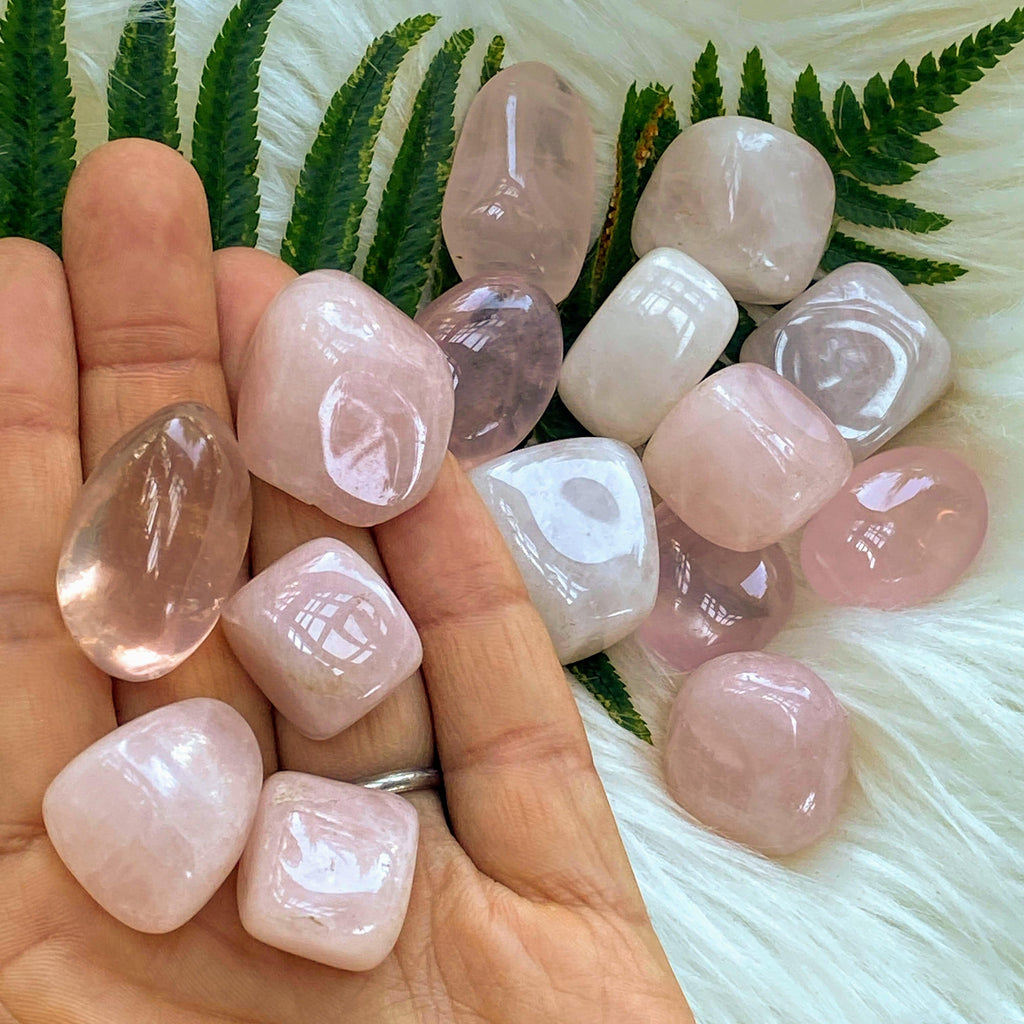 Set of 5 Sweet Pink Rose Quartz Tumbled Stones - Earth Family Crystals