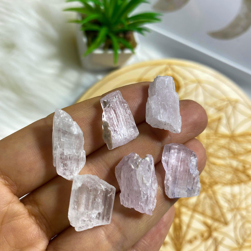 Set of 6 Pink Kunzite Terminated Points Specimen ~Locality Brazil - Earth Family Crystals