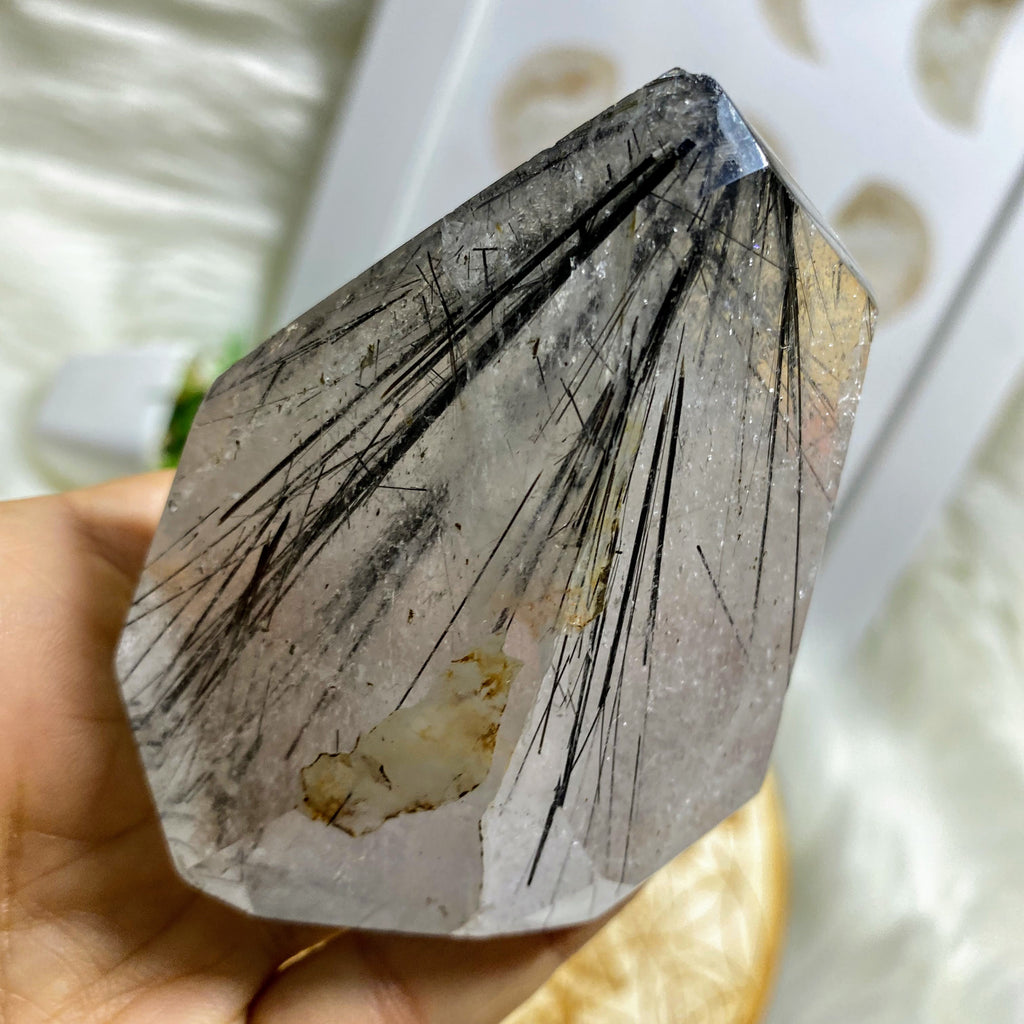 Reserved For Gina Incredible Black Tourmaline Rutile Quartz Standing Display Specimen~Locality: Brazil - Earth Family Crystals