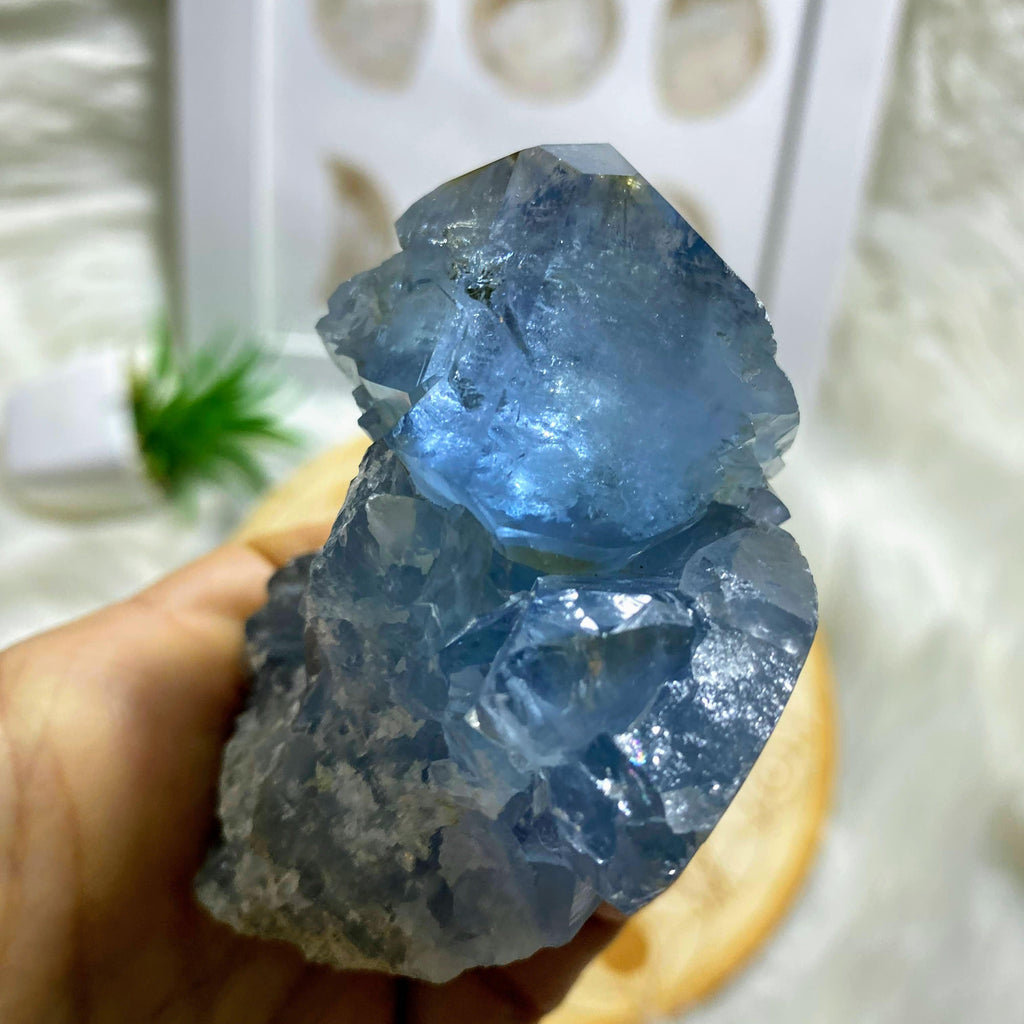 Reserved for Sandy Chunky Celestite Sweet Blue Natural Specimen From Madagascar - Earth Family Crystals