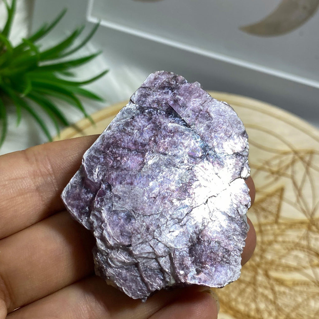 Shiny & Natural Violet Lepidolite Specimen From Brazil - Earth Family Crystals