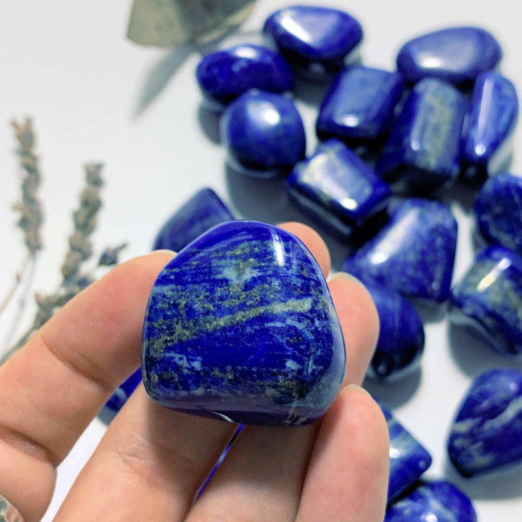 One Cobalt Blue Lapis Lazuli Tumbled Stone - Earth Family Crystals