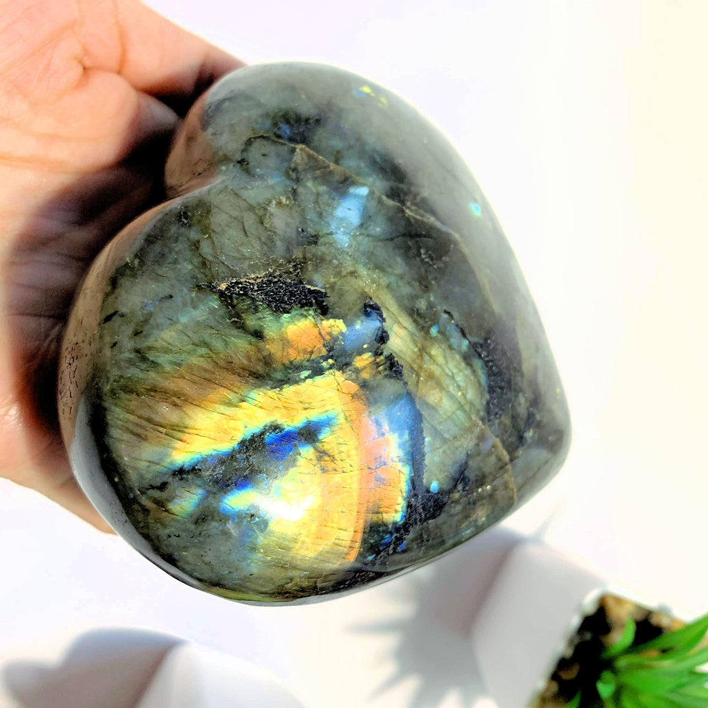 Mysterious Flashes XL  Labradorite Heart Carving From Madagascar - Earth Family Crystals