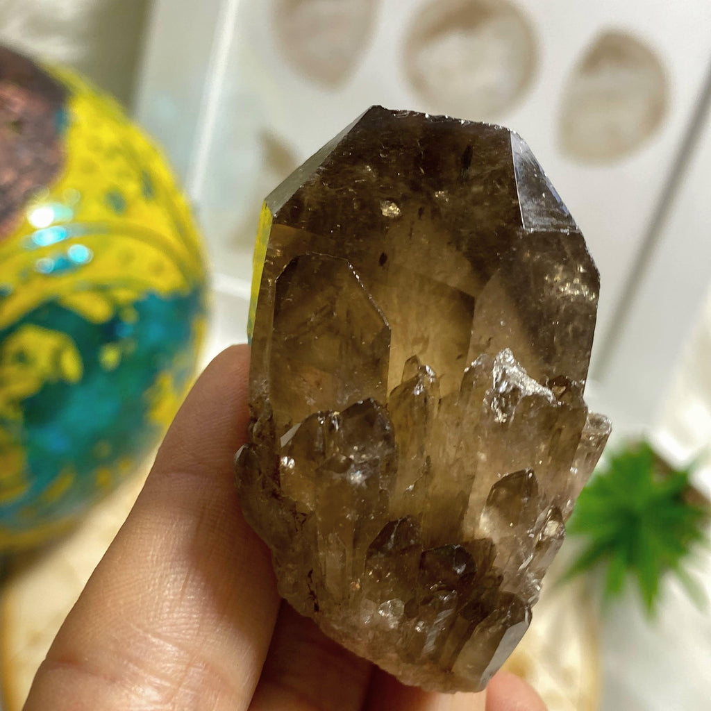 Natural Phantom Citrine & Smoky Quartz Elestial Kundalini Point #1 - Earth Family Crystals