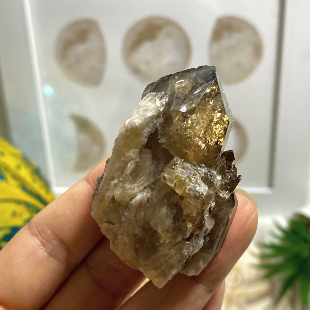 Natural  Citrine & Smoky Quartz Elestial Kundalini Point #2 - Earth Family Crystals