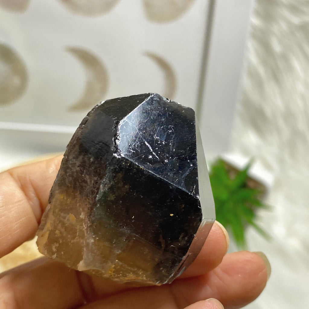 Natural Deep Brown Smoky Quartz & Citrine Elestial Kundalini Point #3 - Earth Family Crystals