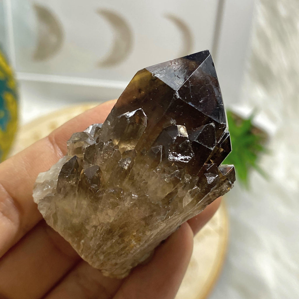 Natural Phantom Included Citrine & Smoky Quartz Elestial Kundalini Point #4 - Earth Family Crystals