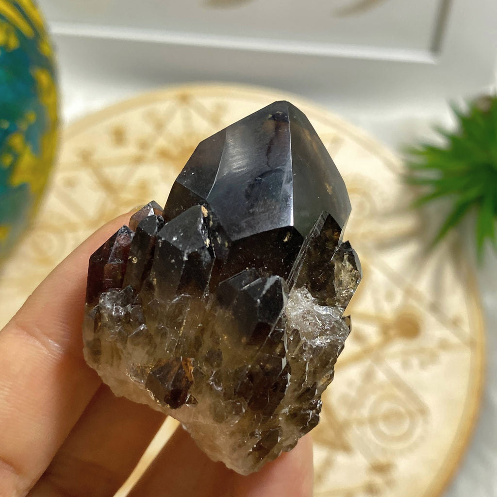 Natural Citrine & Smoky Quartz Elestial Kundalini Point #5 - Earth Family Crystals