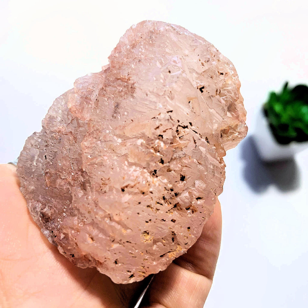 Natural Frosty Pink Large Nirvana Ice Quartz Specimen~Locality Himalayas - Earth Family Crystals