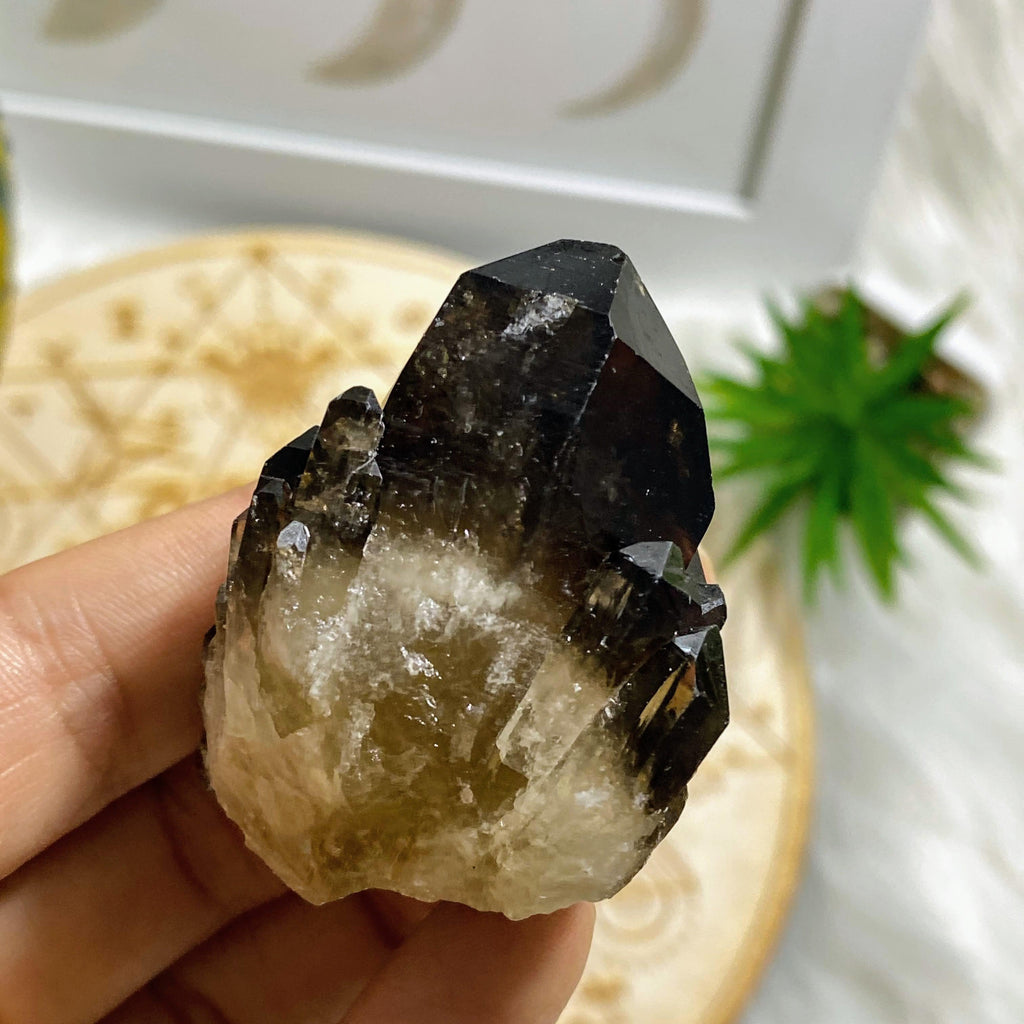 Natural Citrine & Smoky Quartz Elestial Kundalini Point #5 - Earth Family Crystals