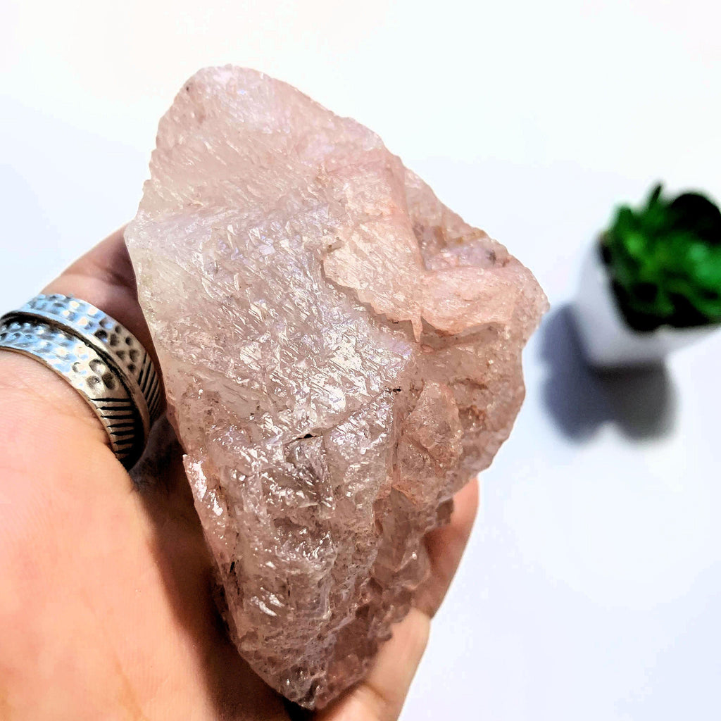Natural Frosty Pink Large Nirvana Ice Quartz Specimen~Locality Himalayas - Earth Family Crystals