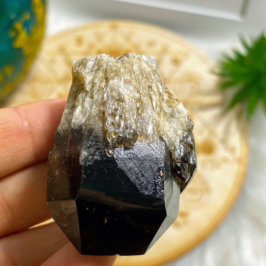 Natural Deep Brown Smoky Quartz & Citrine Elestial Kundalini Point #6 - Earth Family Crystals