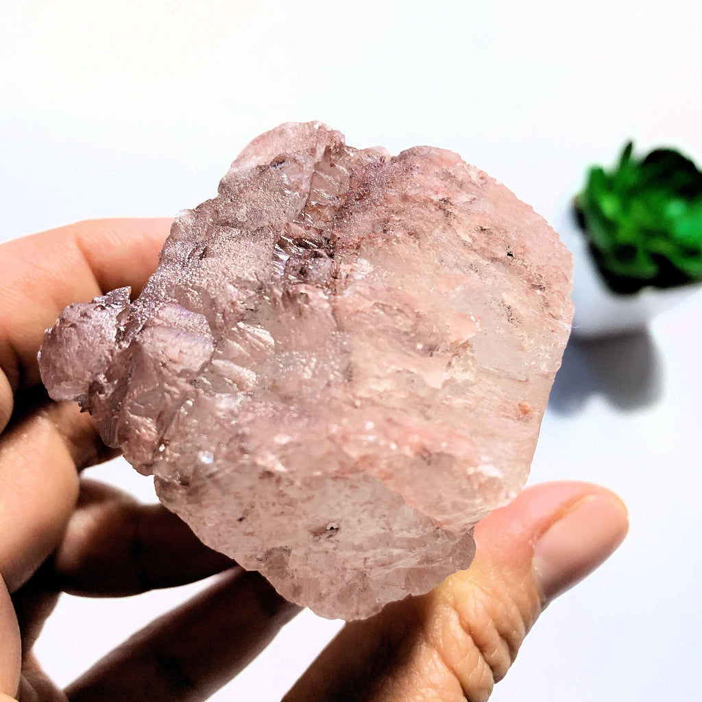 Elestial Record Keeper Large Pink Nirvana Ice Quartz Specimen From The Himalayas - Earth Family Crystals