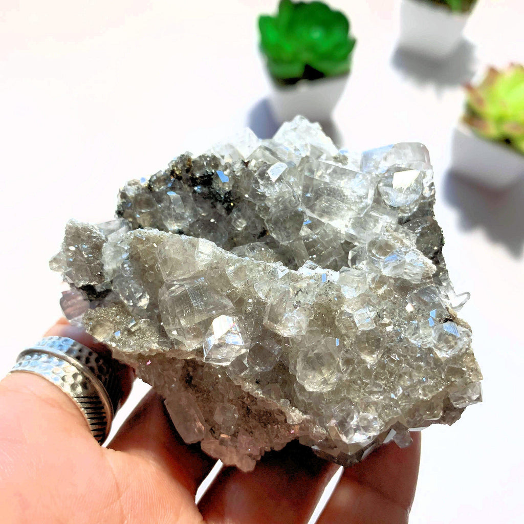 Sparkling Natural Clear Calcite With Caves & Chalcopyrite Inclusions From Linwood Mine, NY - Earth Family Crystals