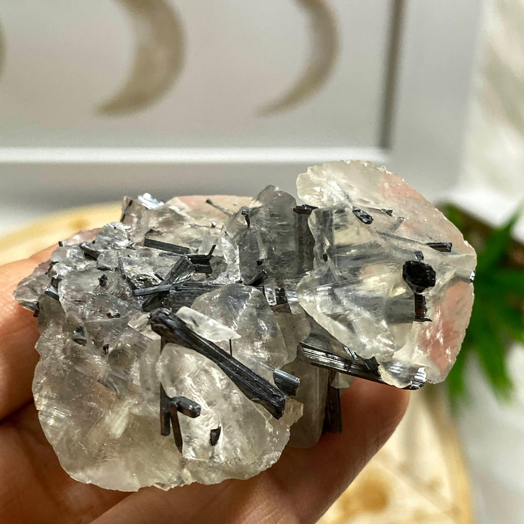 Rare Collectors Specimen! Multiple Silver Stibnite Points Nestled in Calcite Matrix From Hunan, China - Earth Family Crystals